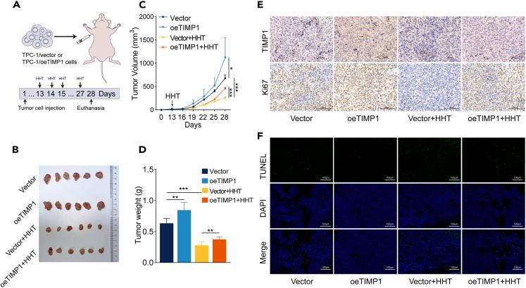 https://cdn.ncbi.nlm.nih.gov/pmc/blobs/2443/11103377/27352fa892c7/gr6.jpg