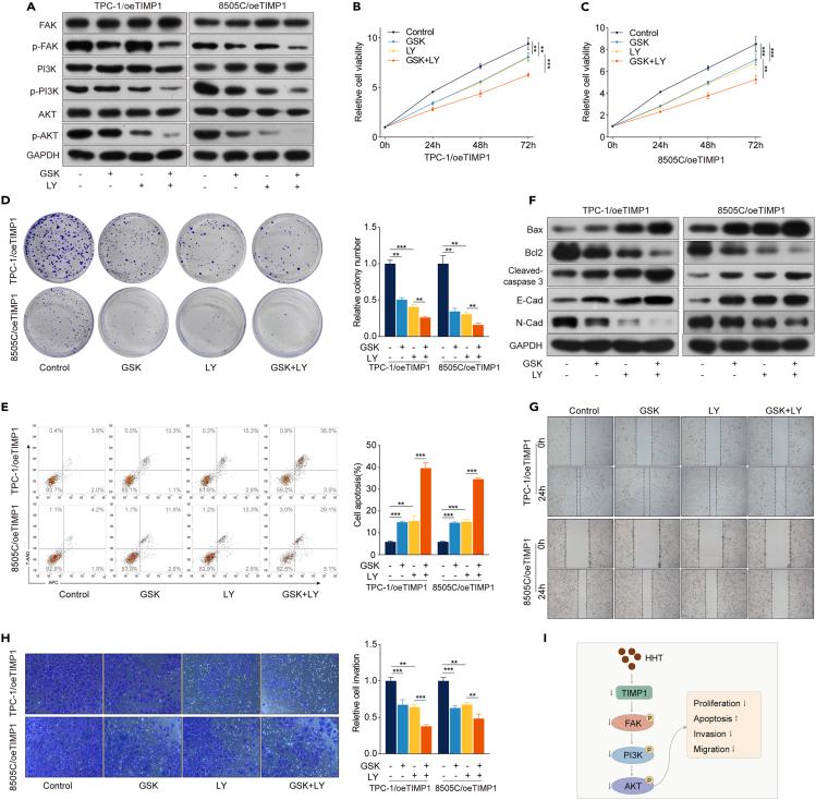 https://cdn.ncbi.nlm.nih.gov/pmc/blobs/2443/11103377/c91a5304cbf3/gr7.jpg