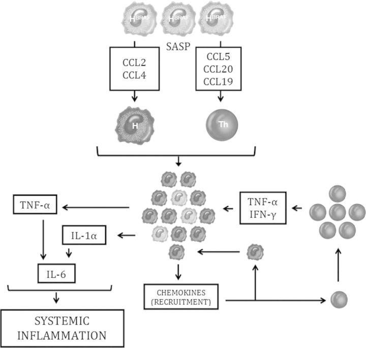 https://cdn.ncbi.nlm.nih.gov/pmc/blobs/2443/4377813/065b32085d02/sfu06802.jpg