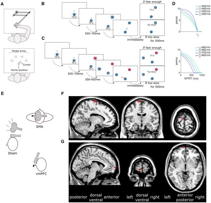 https://cdn.ncbi.nlm.nih.gov/pmc/blobs/2443/7413922/ae86bc1cb791/221_2020_5802_Fig1_HTML.jpg