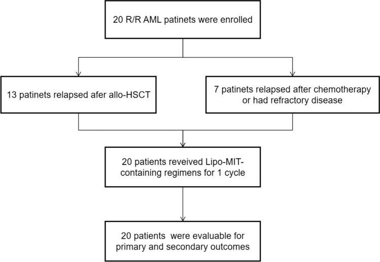 https://cdn.ncbi.nlm.nih.gov/pmc/blobs/2444/12069160/d72c9573ab78/12672_2025_2526_Fig1_HTML.jpg