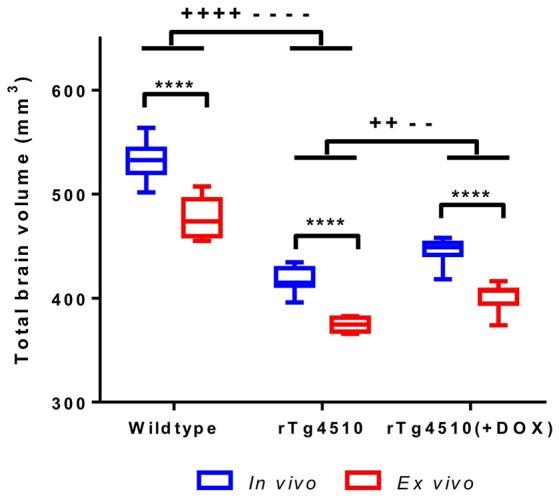 https://cdn.ncbi.nlm.nih.gov/pmc/blobs/2445/5374887/bd1b0e93870e/fninf-11-00020-g0001.jpg
