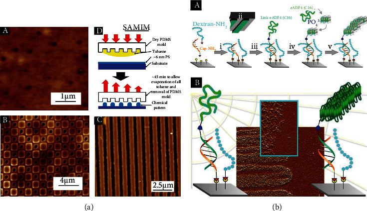 https://cdn.ncbi.nlm.nih.gov/pmc/blobs/2445/8712125/e352f0194373/SCI2021-7141550.005.jpg