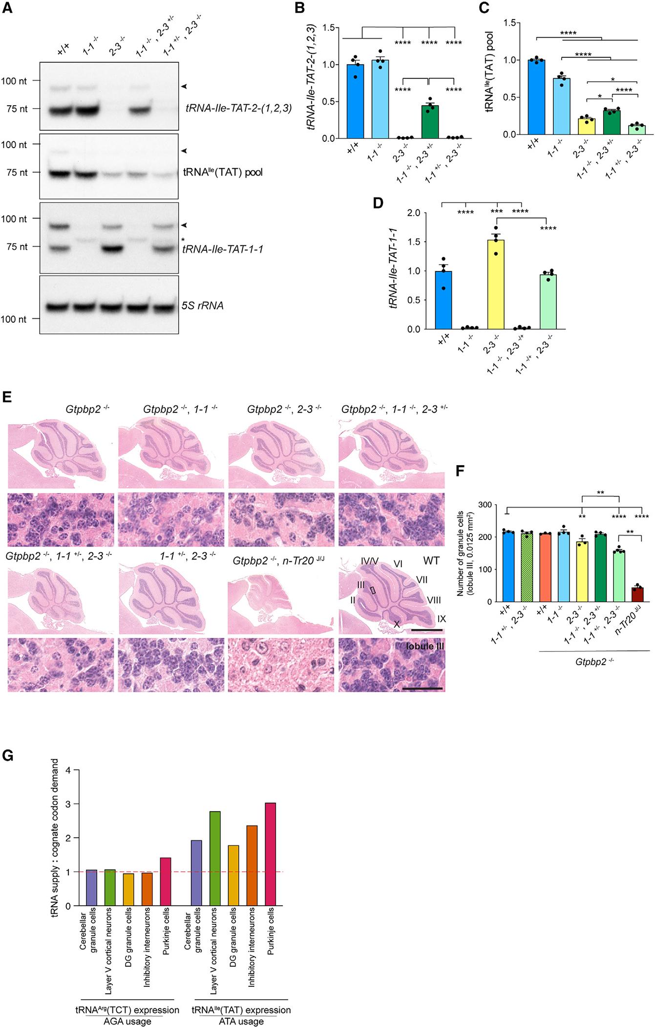 https://cdn.ncbi.nlm.nih.gov/pmc/blobs/2446/11065635/8bcb425dc207/nihms-1969755-f0008.jpg