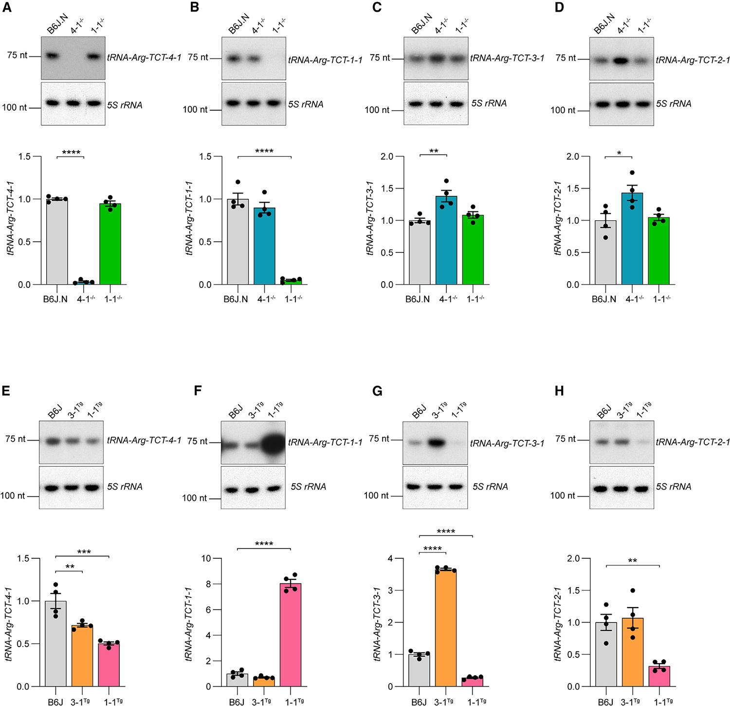 https://cdn.ncbi.nlm.nih.gov/pmc/blobs/2446/11065635/b2198eea4d4d/nihms-1969755-f0007.jpg
