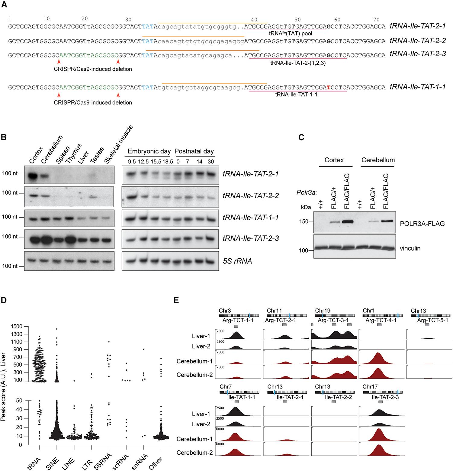 https://cdn.ncbi.nlm.nih.gov/pmc/blobs/2446/11065635/c2a64d63397a/nihms-1969755-f0002.jpg