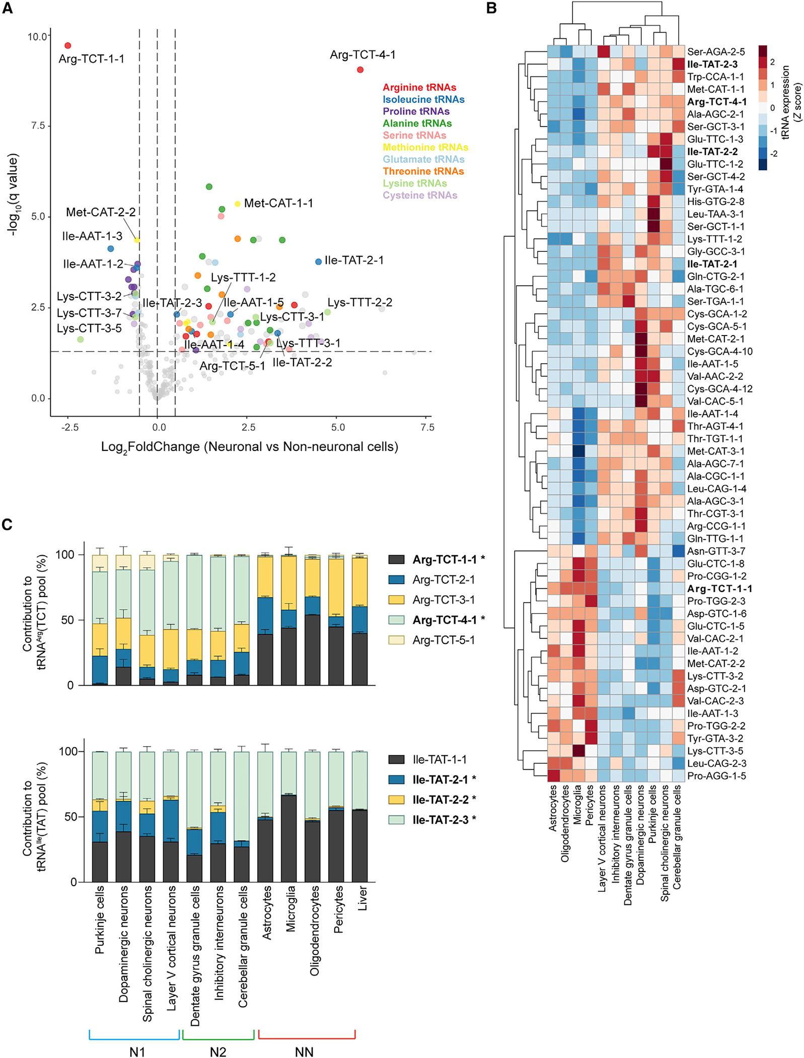 https://cdn.ncbi.nlm.nih.gov/pmc/blobs/2446/11065635/cd66d177ce58/nihms-1969755-f0004.jpg