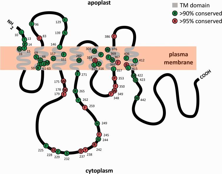 https://cdn.ncbi.nlm.nih.gov/pmc/blobs/2446/4824068/87a919e4cbeb/evw036f3p.jpg