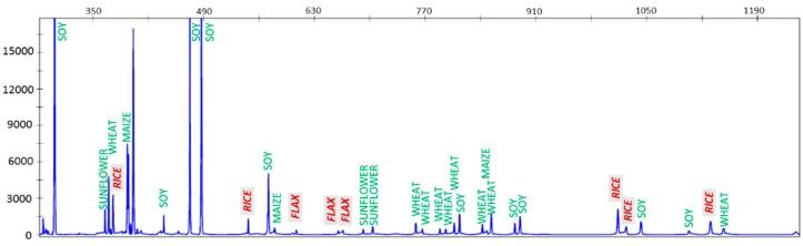 https://cdn.ncbi.nlm.nih.gov/pmc/blobs/2449/6471244/907c4a162c70/genes-10-00229-g002.jpg