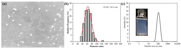 https://cdn.ncbi.nlm.nih.gov/pmc/blobs/244a/12300314/29dccfac6c5f/nanomaterials-15-01056-g002.jpg