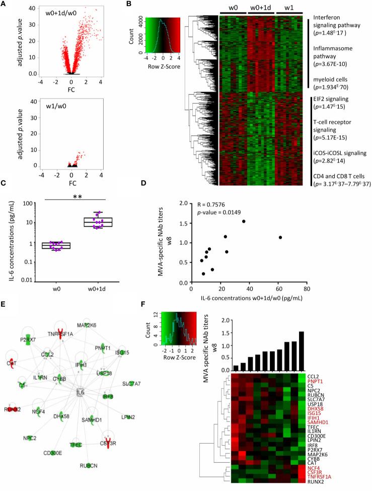 https://cdn.ncbi.nlm.nih.gov/pmc/blobs/244b/7683801/5db16158f510/fimmu-11-586124-g003.jpg