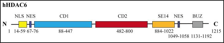 https://cdn.ncbi.nlm.nih.gov/pmc/blobs/244f/10450946/1667ce389ed8/fimmu-14-1216548-g001.jpg