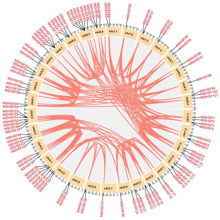 https://cdn.ncbi.nlm.nih.gov/pmc/blobs/244f/10454044/1c4b5a7513be/ijms-24-12683-g004.jpg
