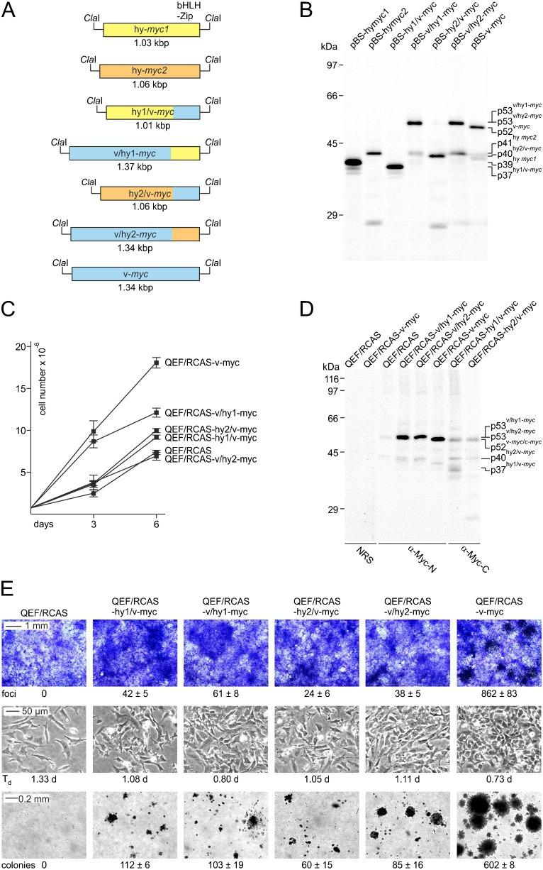 https://cdn.ncbi.nlm.nih.gov/pmc/blobs/244f/4021362/fe3085446845/bio-03-05-397-f06.jpg