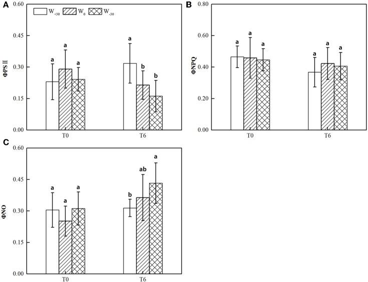 https://cdn.ncbi.nlm.nih.gov/pmc/blobs/2451/4709831/63e23fe93635/fpls-06-01254-g0001.jpg