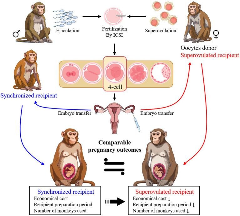 https://cdn.ncbi.nlm.nih.gov/pmc/blobs/2453/11427438/afe06597bef7/fvets-11-1452631-g003.jpg