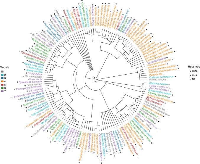 https://cdn.ncbi.nlm.nih.gov/pmc/blobs/2453/6397258/40534988f40b/41467_2019_8925_Fig2_HTML.jpg