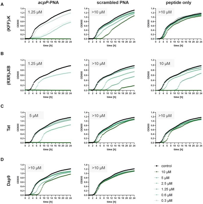 https://cdn.ncbi.nlm.nih.gov/pmc/blobs/2453/9226493/6663a244fbf0/gkac362fig2.jpg
