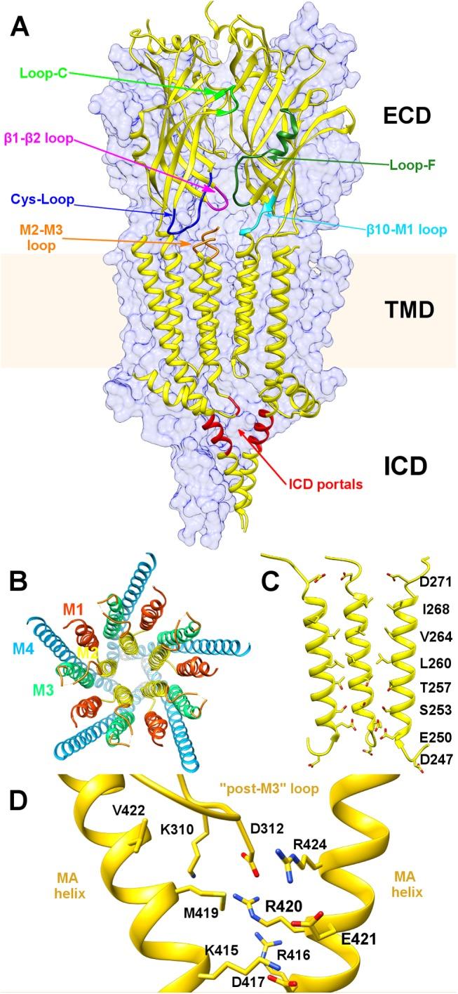 https://cdn.ncbi.nlm.nih.gov/pmc/blobs/2454/4605793/6435a848871e/pone.0140258.g001.jpg