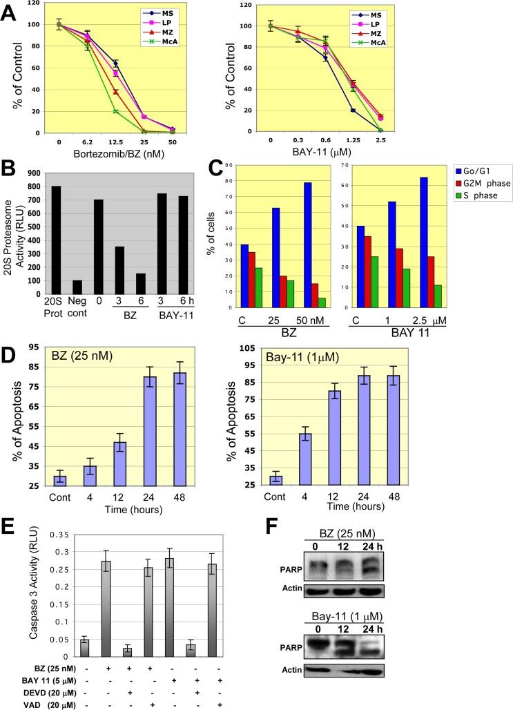 https://cdn.ncbi.nlm.nih.gov/pmc/blobs/2454/5270671/8ac8651c695f/aging-08-3321-g007.jpg