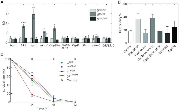 https://cdn.ncbi.nlm.nih.gov/pmc/blobs/2454/9226519/b4873157005b/gkab1189fig5.jpg
