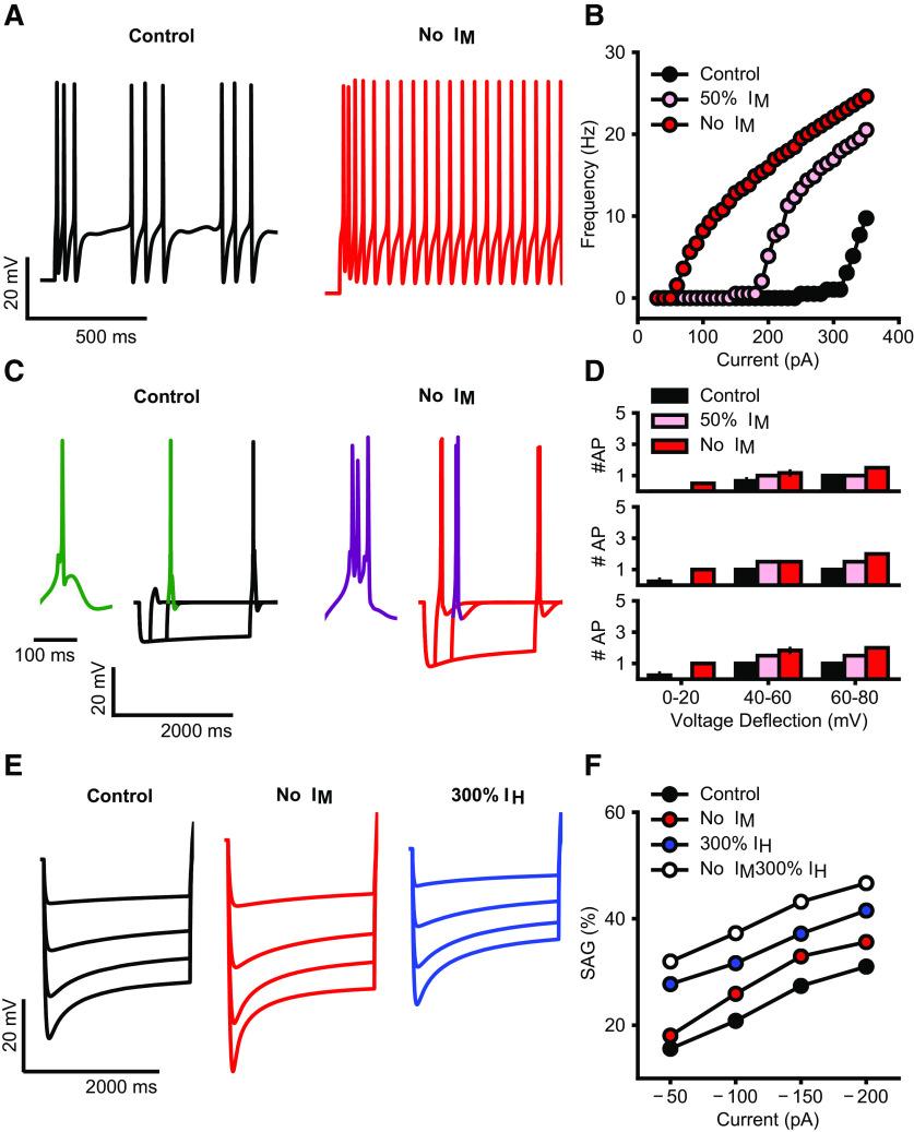 https://cdn.ncbi.nlm.nih.gov/pmc/blobs/2456/7920540/e0a3e78d6257/SN-ENUJ210032F006.jpg