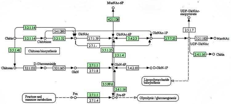 https://cdn.ncbi.nlm.nih.gov/pmc/blobs/2458/9159588/db5caedf2019/pone.0263905.g004.jpg