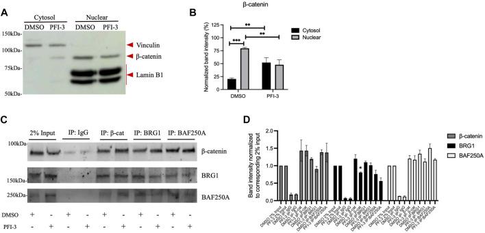 https://cdn.ncbi.nlm.nih.gov/pmc/blobs/2459/10360407/7ee9cecf0131/fcell-11-1160227-g003.jpg