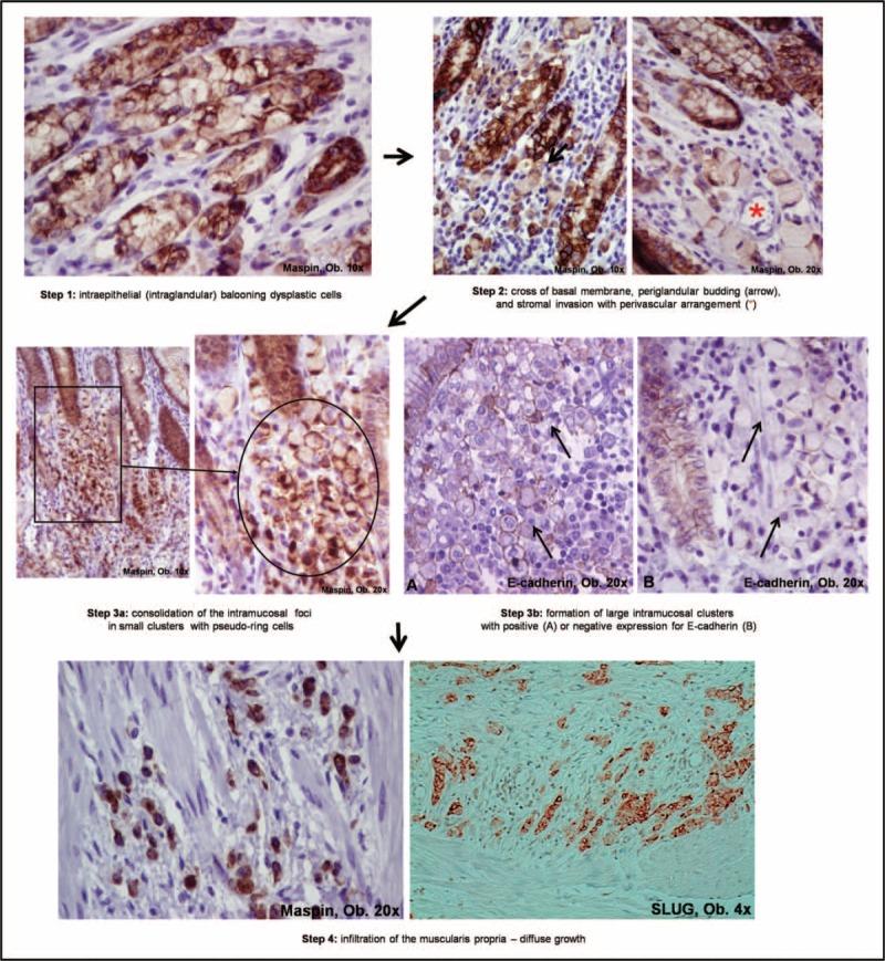 https://cdn.ncbi.nlm.nih.gov/pmc/blobs/2459/4620773/10c9a8ec33ef/medi-94-e1810-g002.jpg