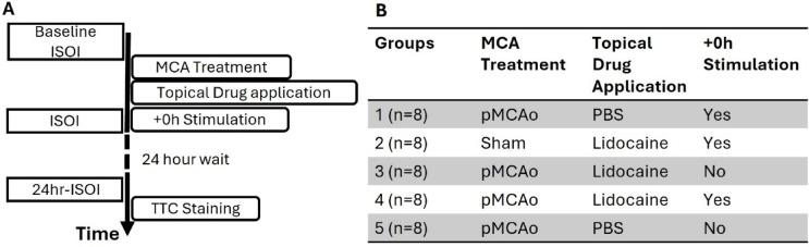 https://cdn.ncbi.nlm.nih.gov/pmc/blobs/245a/12217715/f800dae181e8/41598_2025_5620_Fig1_HTML.jpg