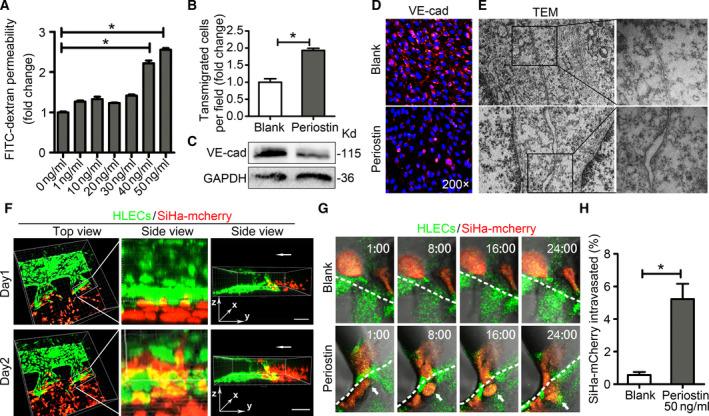 https://cdn.ncbi.nlm.nih.gov/pmc/blobs/245a/7782076/17bc6d95d393/MOL2-15-210-g003.jpg