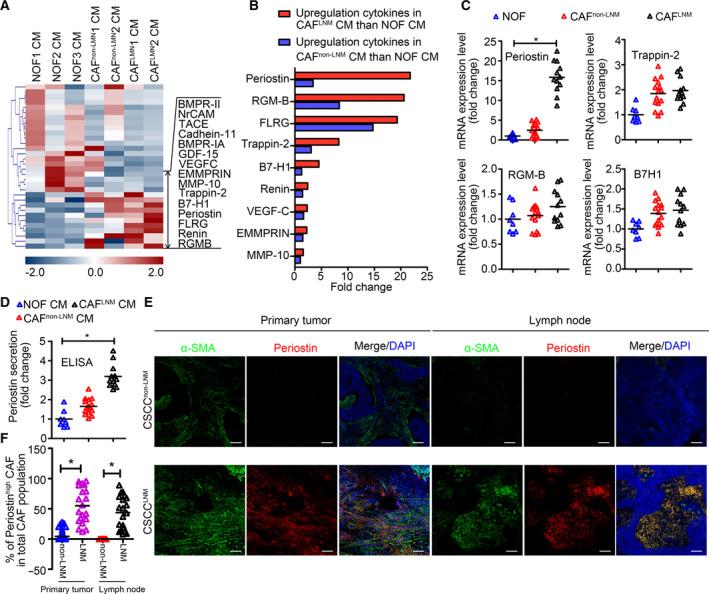 https://cdn.ncbi.nlm.nih.gov/pmc/blobs/245a/7782076/42a6ba703a20/MOL2-15-210-g002.jpg