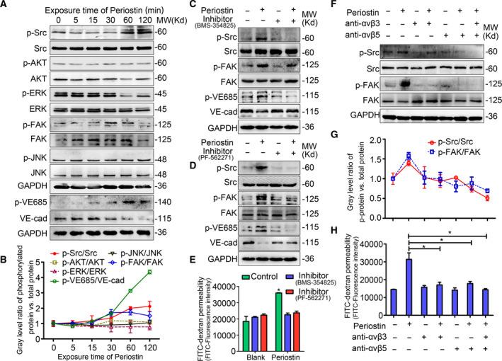 https://cdn.ncbi.nlm.nih.gov/pmc/blobs/245a/7782076/508b92fb29b7/MOL2-15-210-g005.jpg