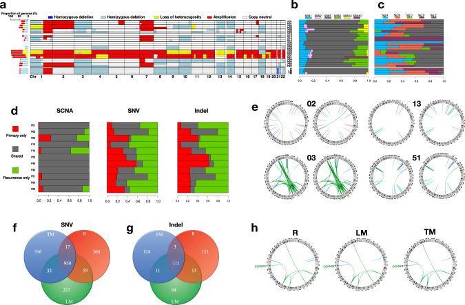 https://cdn.ncbi.nlm.nih.gov/pmc/blobs/245b/7859411/c6443322903b/41467_2021_21026_Fig6_HTML.jpg
