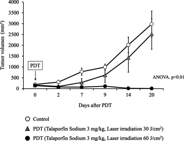 https://cdn.ncbi.nlm.nih.gov/pmc/blobs/245c/11194119/85c410d074eb/TCA-15-1429-g002.jpg