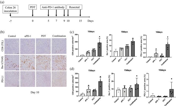 https://cdn.ncbi.nlm.nih.gov/pmc/blobs/245c/11194119/e1193d9967fe/TCA-15-1429-g003.jpg