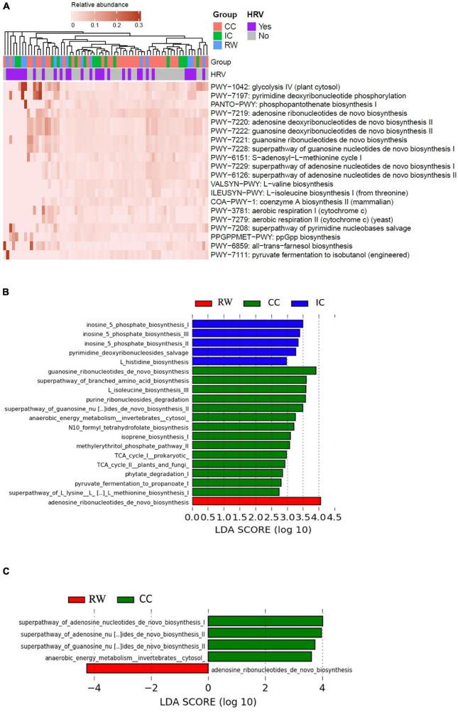 https://cdn.ncbi.nlm.nih.gov/pmc/blobs/245d/8889122/69c1d053cfb6/fmicb-12-792556-g004.jpg