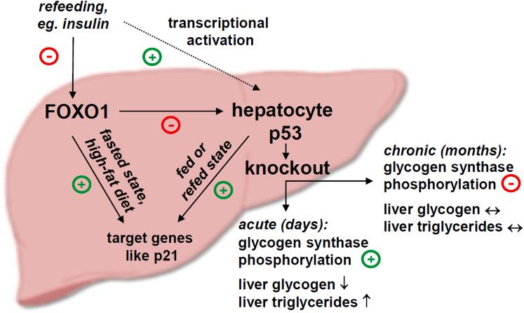 https://cdn.ncbi.nlm.nih.gov/pmc/blobs/245e/9399478/0b4a678eab18/gr8.jpg