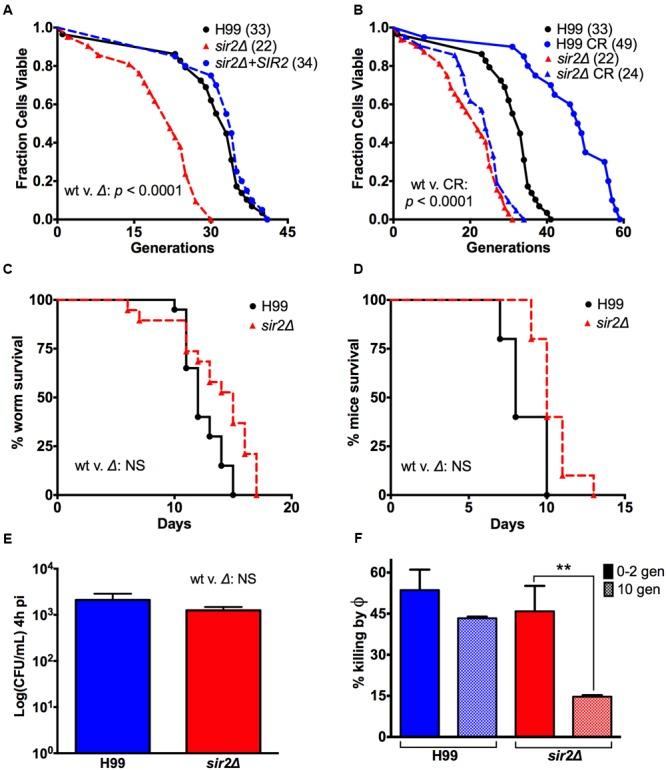 https://cdn.ncbi.nlm.nih.gov/pmc/blobs/2460/5276861/8f3e0342290d/fmicb-08-00098-g001.jpg