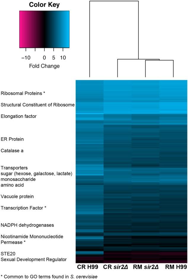 https://cdn.ncbi.nlm.nih.gov/pmc/blobs/2460/5276861/ca8263c3f06f/fmicb-08-00098-g006.jpg