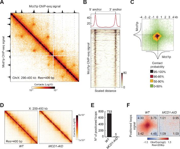 https://cdn.ncbi.nlm.nih.gov/pmc/blobs/2463/7655110/4a68fcc97051/elife-59889-fig2.jpg
