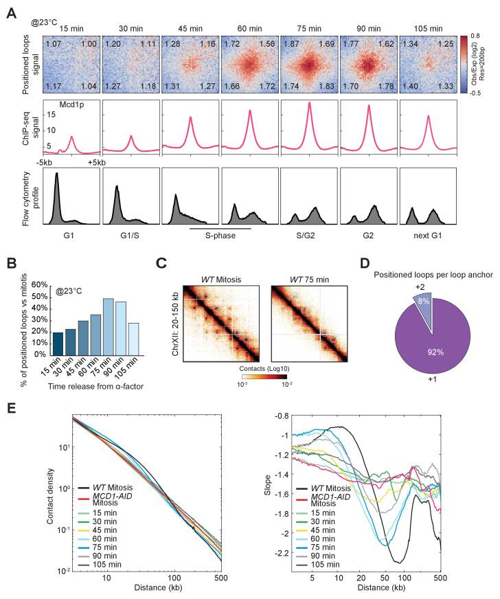 https://cdn.ncbi.nlm.nih.gov/pmc/blobs/2463/7655110/dc23e926abf4/elife-59889-fig5.jpg
