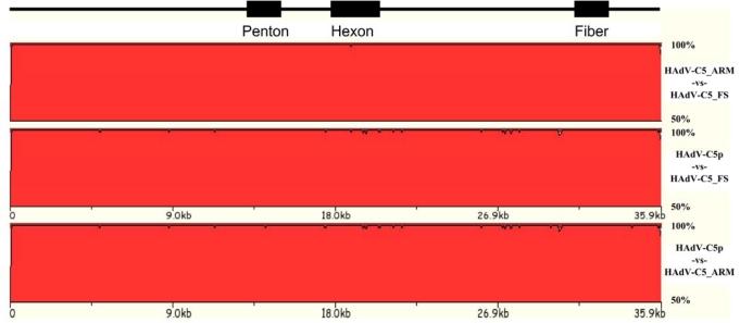 https://cdn.ncbi.nlm.nih.gov/pmc/blobs/246a/3185558/0364f0391553/viruses-02-00001f3.jpg