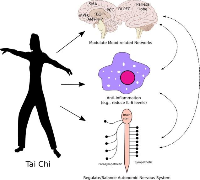 https://cdn.ncbi.nlm.nih.gov/pmc/blobs/246b/6474282/a4aa160bcb3d/fpsyt-10-00237-g001.jpg