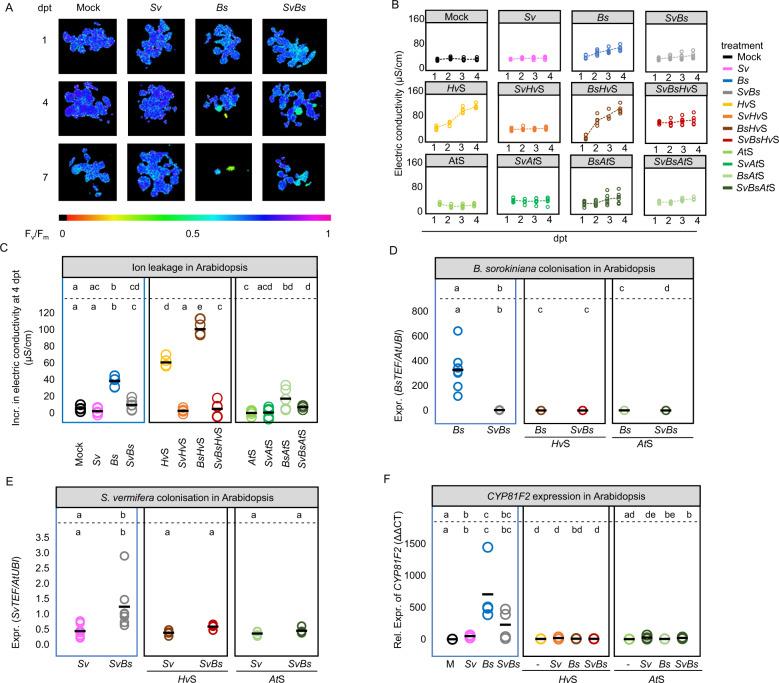 https://cdn.ncbi.nlm.nih.gov/pmc/blobs/246c/8857181/274fd0ceb746/41396_2021_1138_Fig3_HTML.jpg