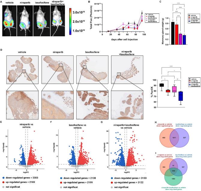 https://cdn.ncbi.nlm.nih.gov/pmc/blobs/246e/12168341/b6e13bb9875a/13046_2025_3441_Fig6_HTML.jpg