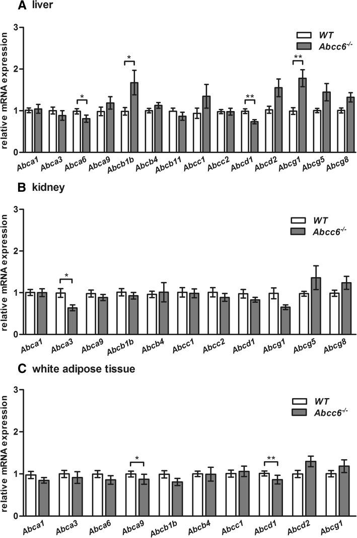 https://cdn.ncbi.nlm.nih.gov/pmc/blobs/246e/6320597/23b7807f6c58/12944_2018_943_Fig2_HTML.jpg