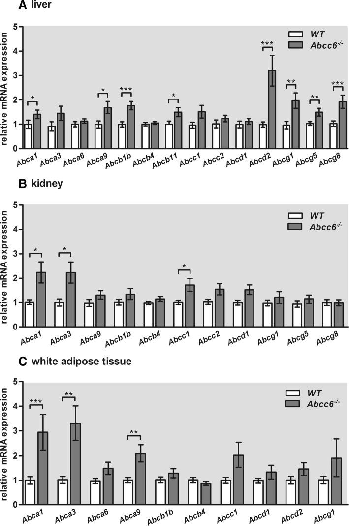 https://cdn.ncbi.nlm.nih.gov/pmc/blobs/246e/6320597/4854bd9a2e61/12944_2018_943_Fig1_HTML.jpg