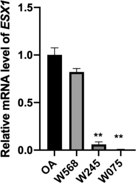 https://cdn.ncbi.nlm.nih.gov/pmc/blobs/246e/7907365/969c7abe0df4/41598_2021_84182_Fig5_HTML.jpg