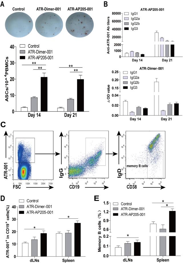 https://cdn.ncbi.nlm.nih.gov/pmc/blobs/246f/5626684/72f7ce9b9a37/41598_2017_12996_Fig7_HTML.jpg